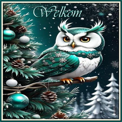 Set-Kerst uil 2-wel…