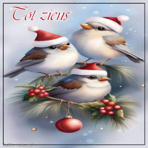 Set-Kerst musjes-to…